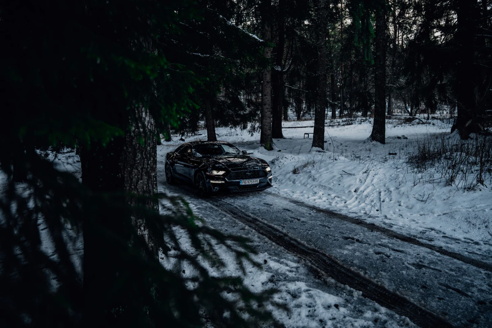 Ford Mustang EcoBoost 55Y | Mobile.bg � ����������� 13