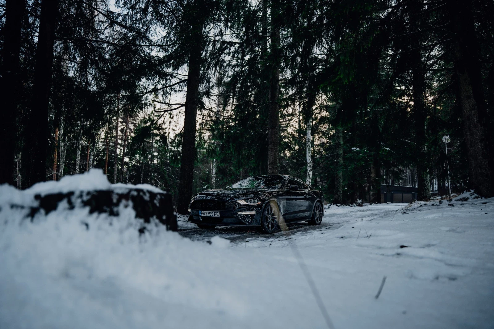 Ford Mustang EcoBoost 55Y | Mobile.bg � ����������� 12