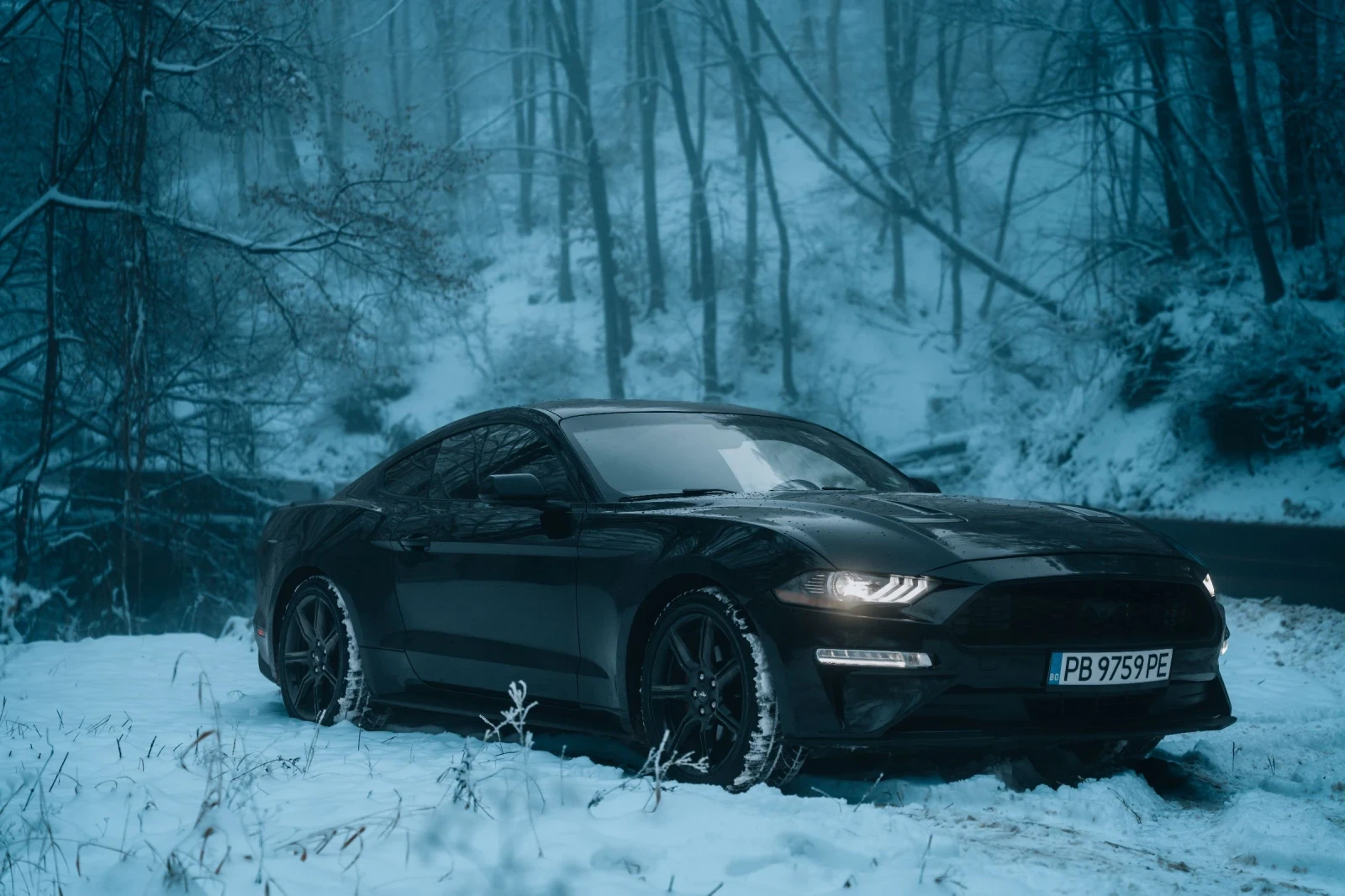 Ford Mustang EcoBoost 55Y | Mobile.bg � ����������� 1