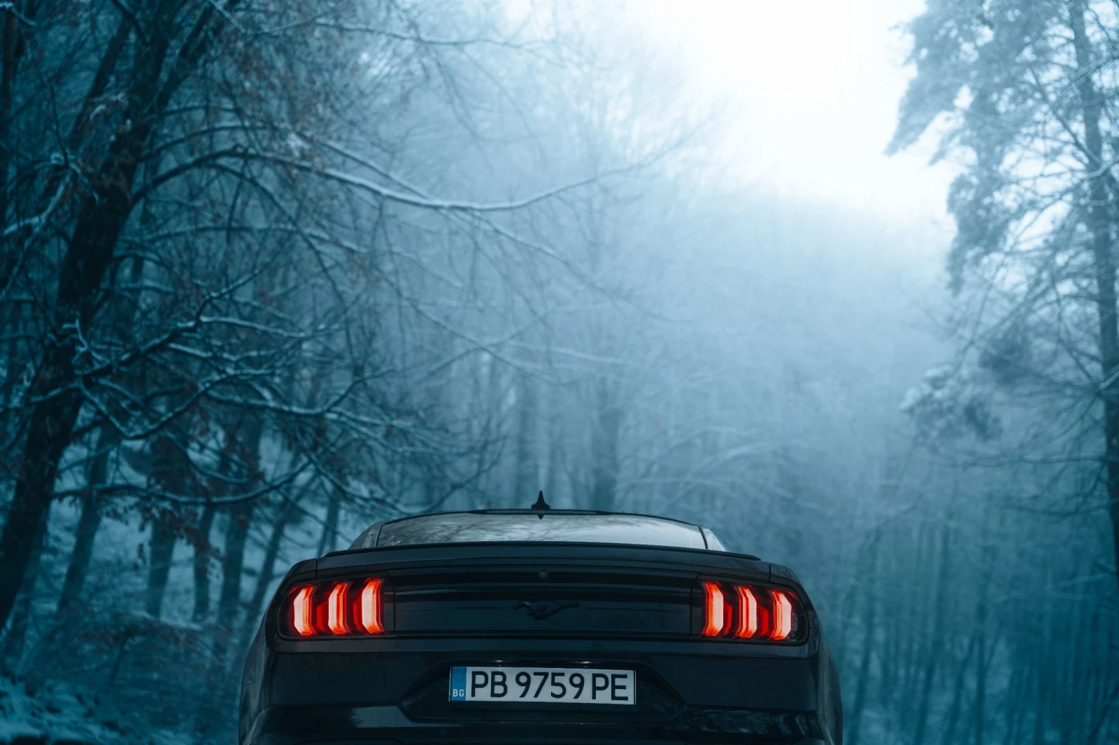 Ford Mustang EcoBoost 55Y - изображение 5