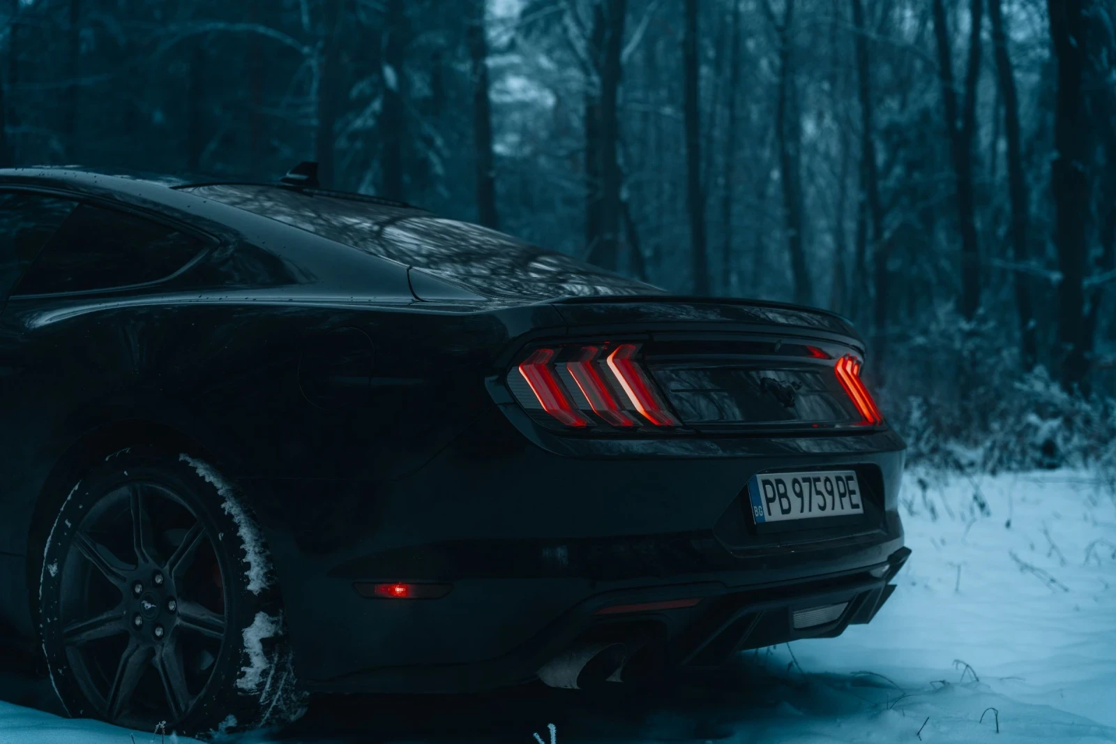Ford Mustang EcoBoost 55Y - изображение 2