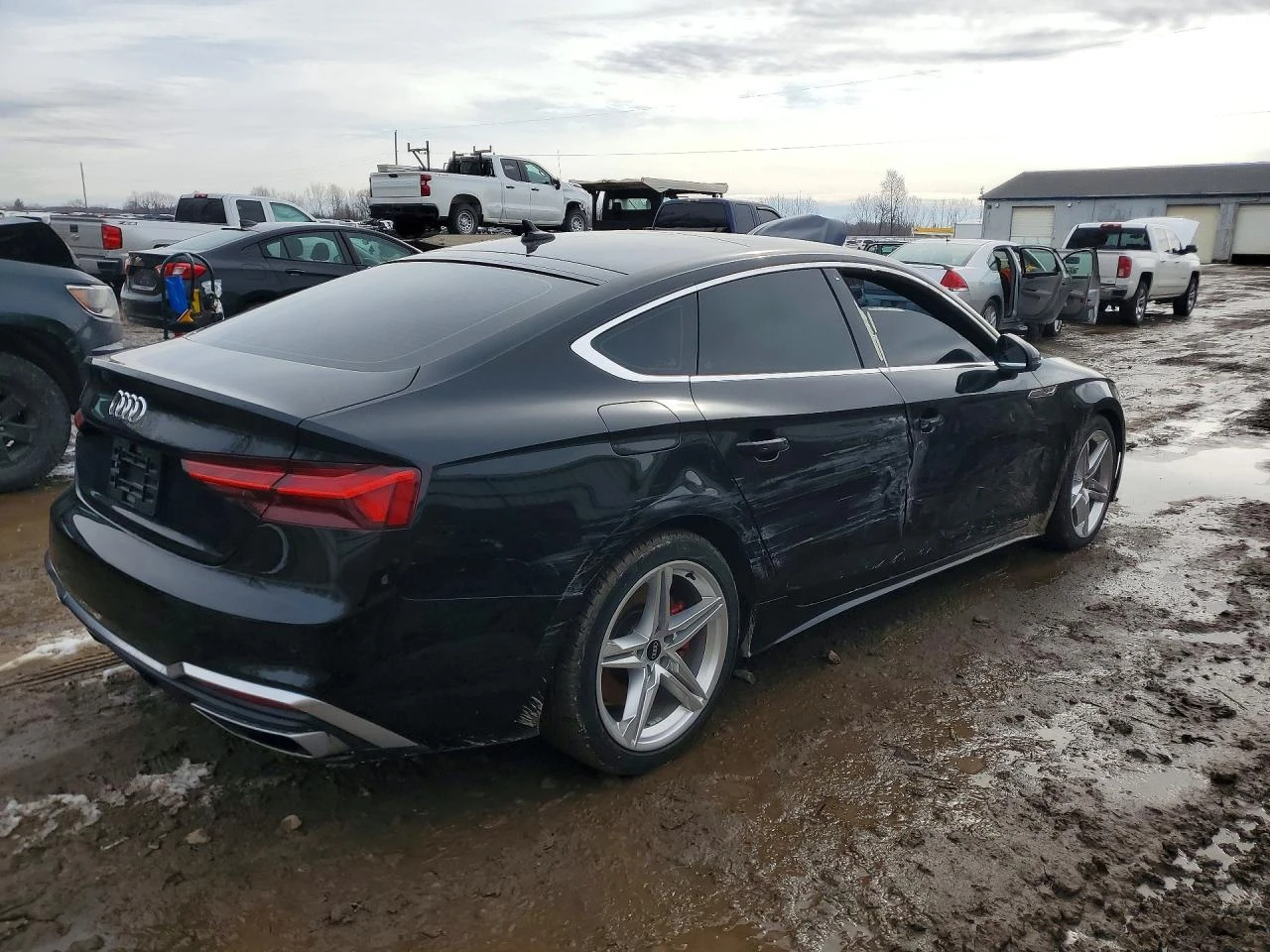 Audi A5 2.0l Premium Plus 45, снимка 3 - Автомобили и джипове - 54919515