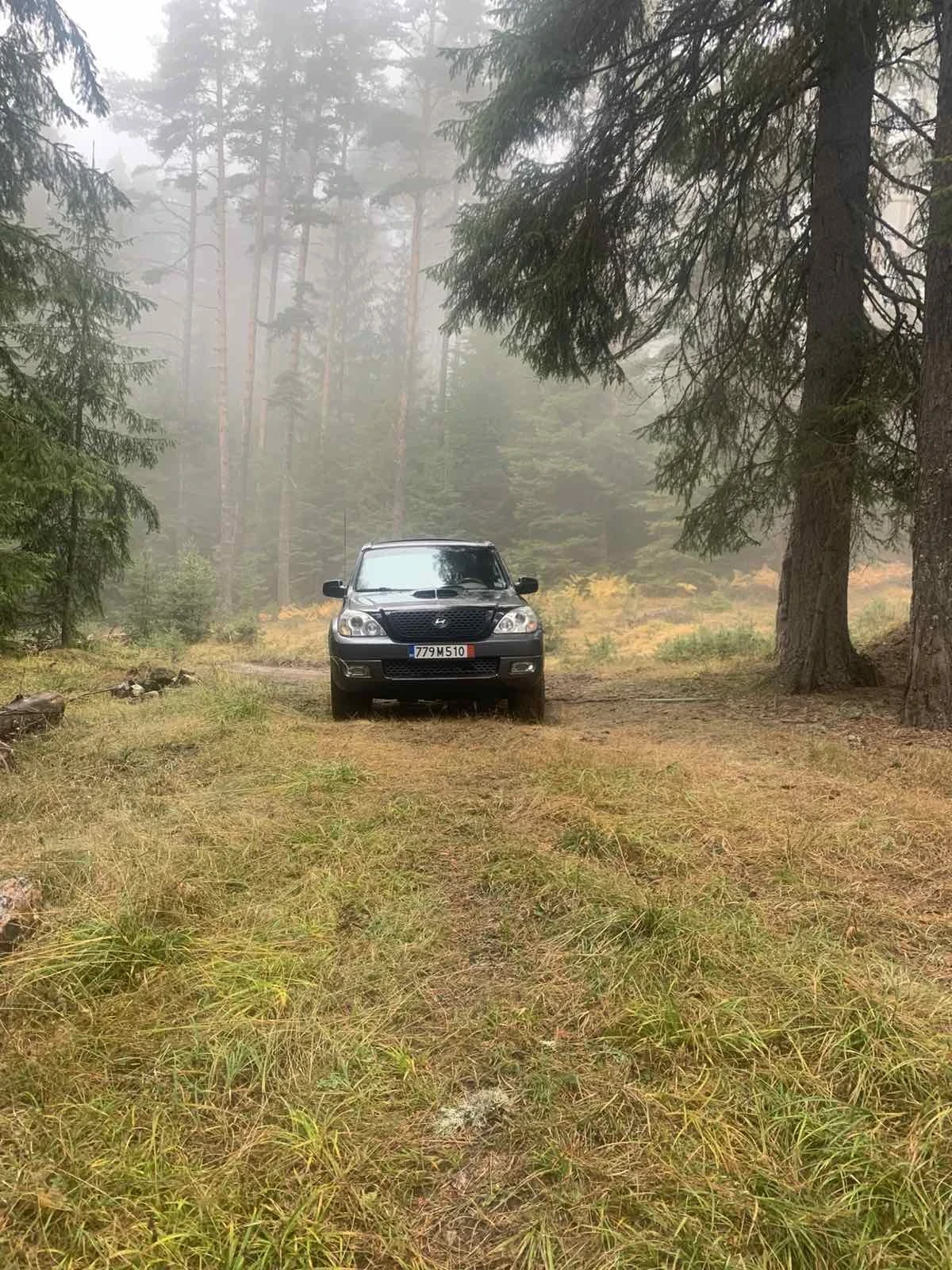 Hyundai Terracan 2.9 CRDI | Mobile.bg — изображение 6