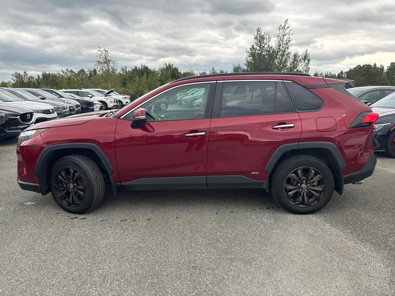 Toyota Rav4 * Hybrid Limited * CARFAX * ОПЦИЯ ЗА ФИНАНСИРАНЕ, снимка 13 - Автомобили и джипове - 55932219