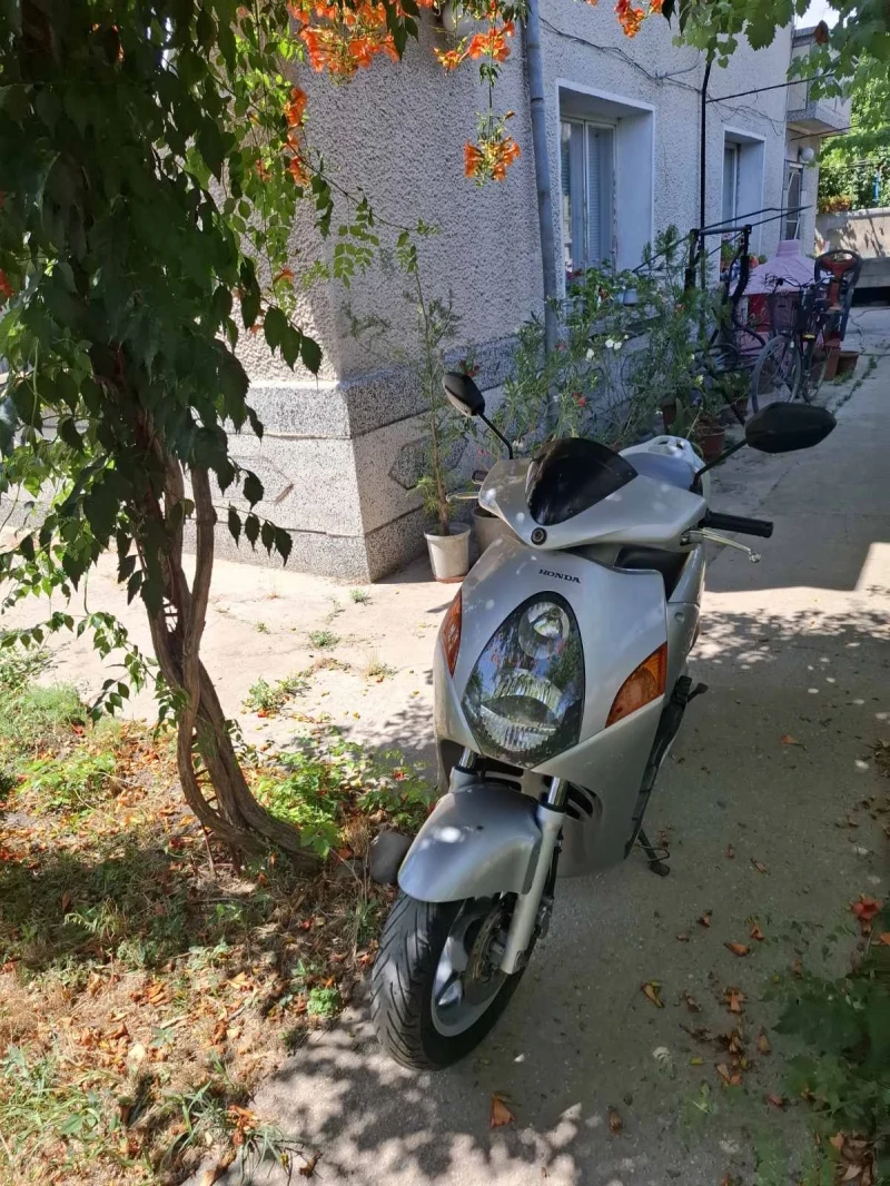 Honda 150, снимка 3 - Мотоциклети и мототехника - 52344002