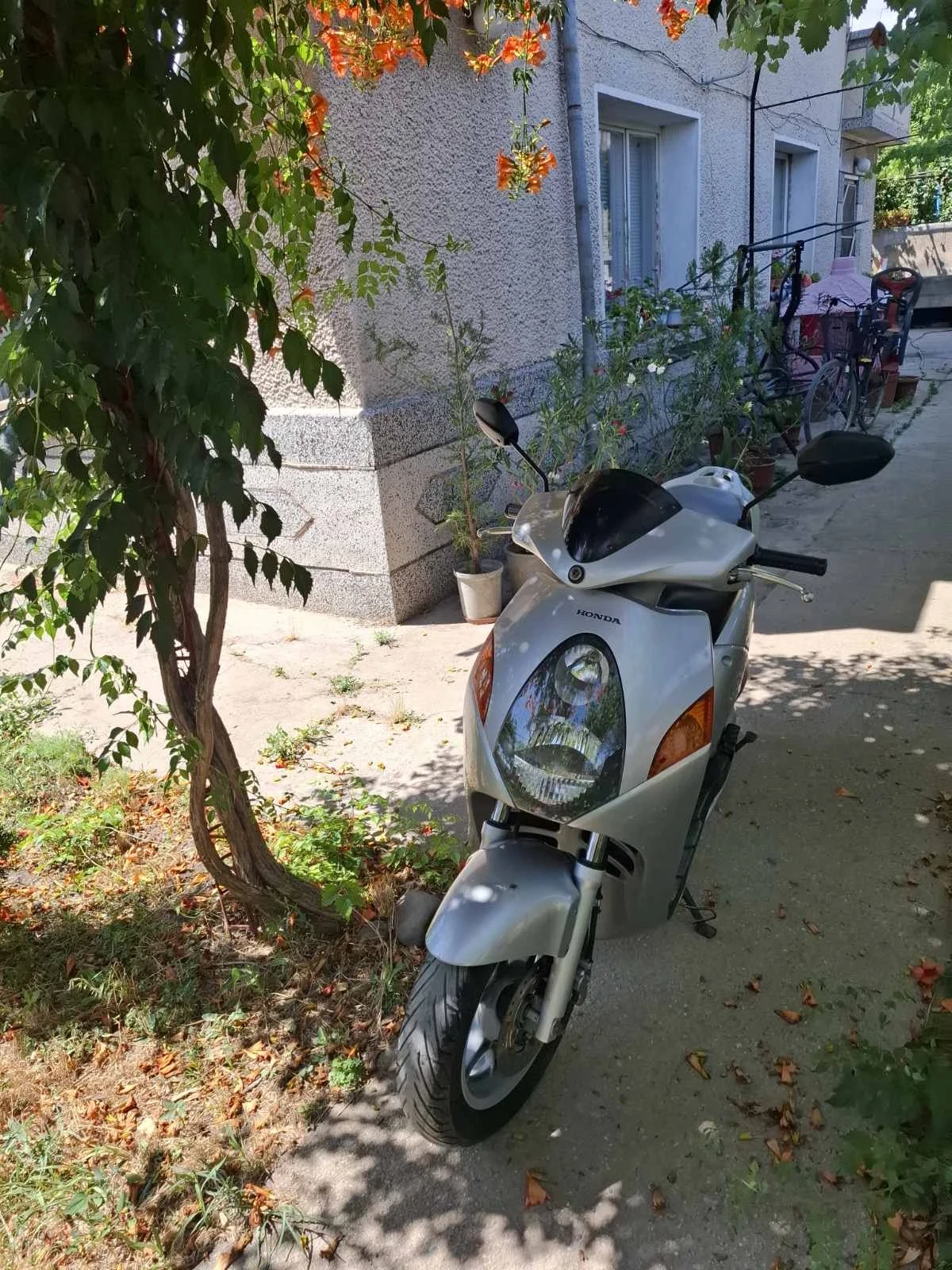 Honda 150 | Mobile.bg   3