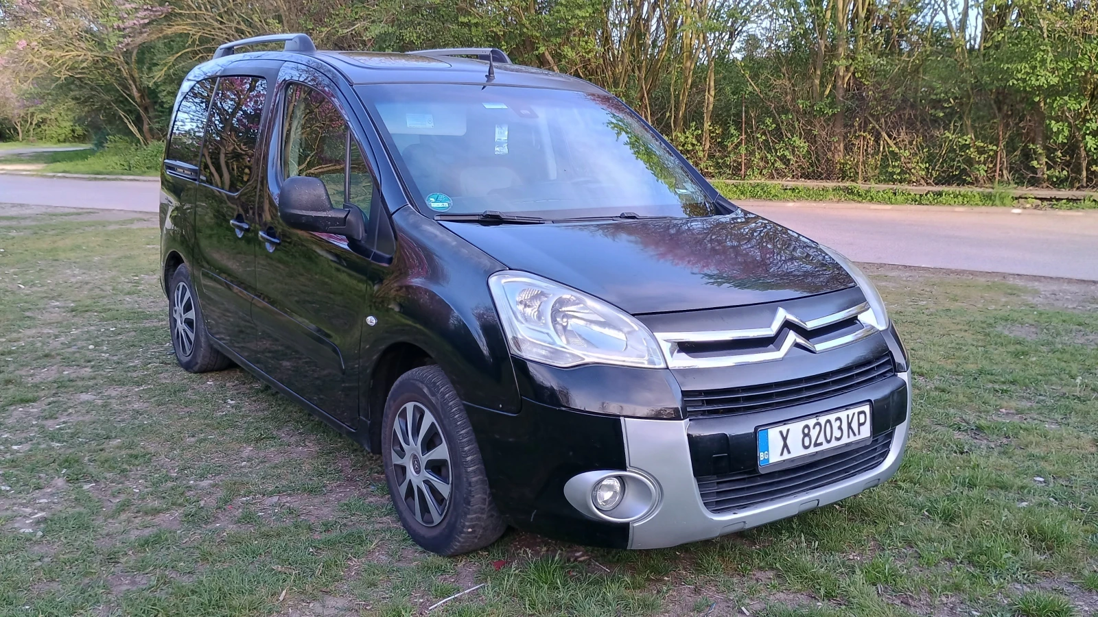 Citroen Berlingo 1.6 Hdi Multispace, снимка 1