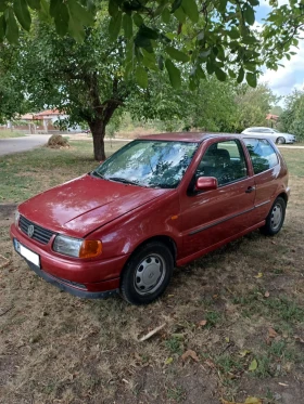     VW Polo