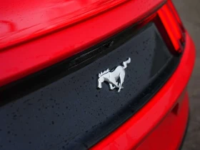 Ford Mustang * ECOBOOST PREMIUM | BSM | BACK UP CAMERA | HEATED - 13500 € / 26403.70 лв. - 70068003 15