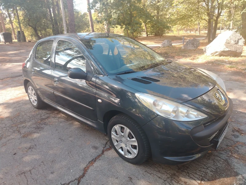 Peugeot 206 1.4i газ
