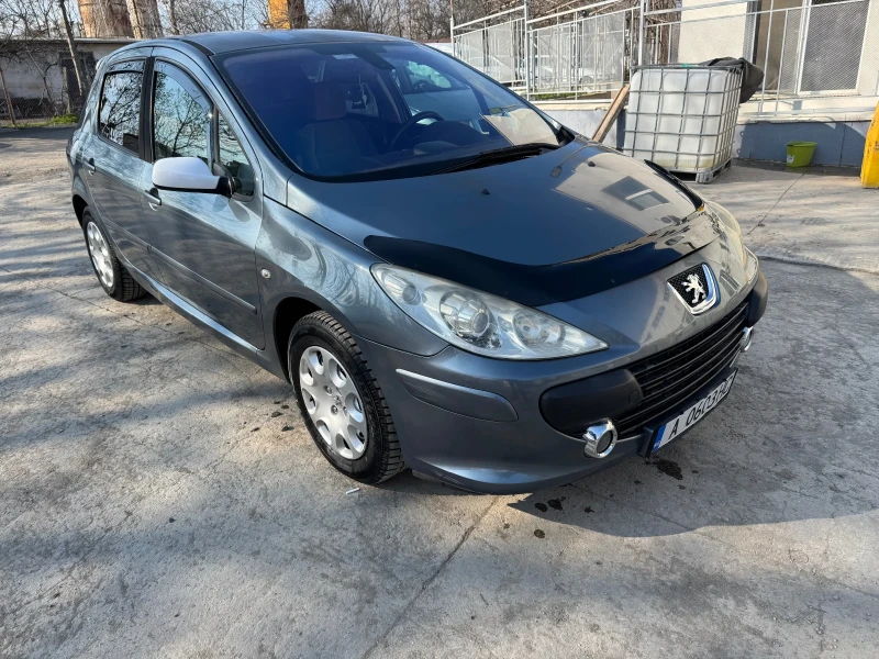 Peugeot 307 1.6 HDI, снимка 7 - Автомобили и джипове - 49006800