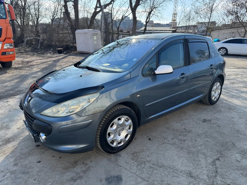 Peugeot 307 1.6 HDI, снимка 1 - Автомобили и джипове - 49006800