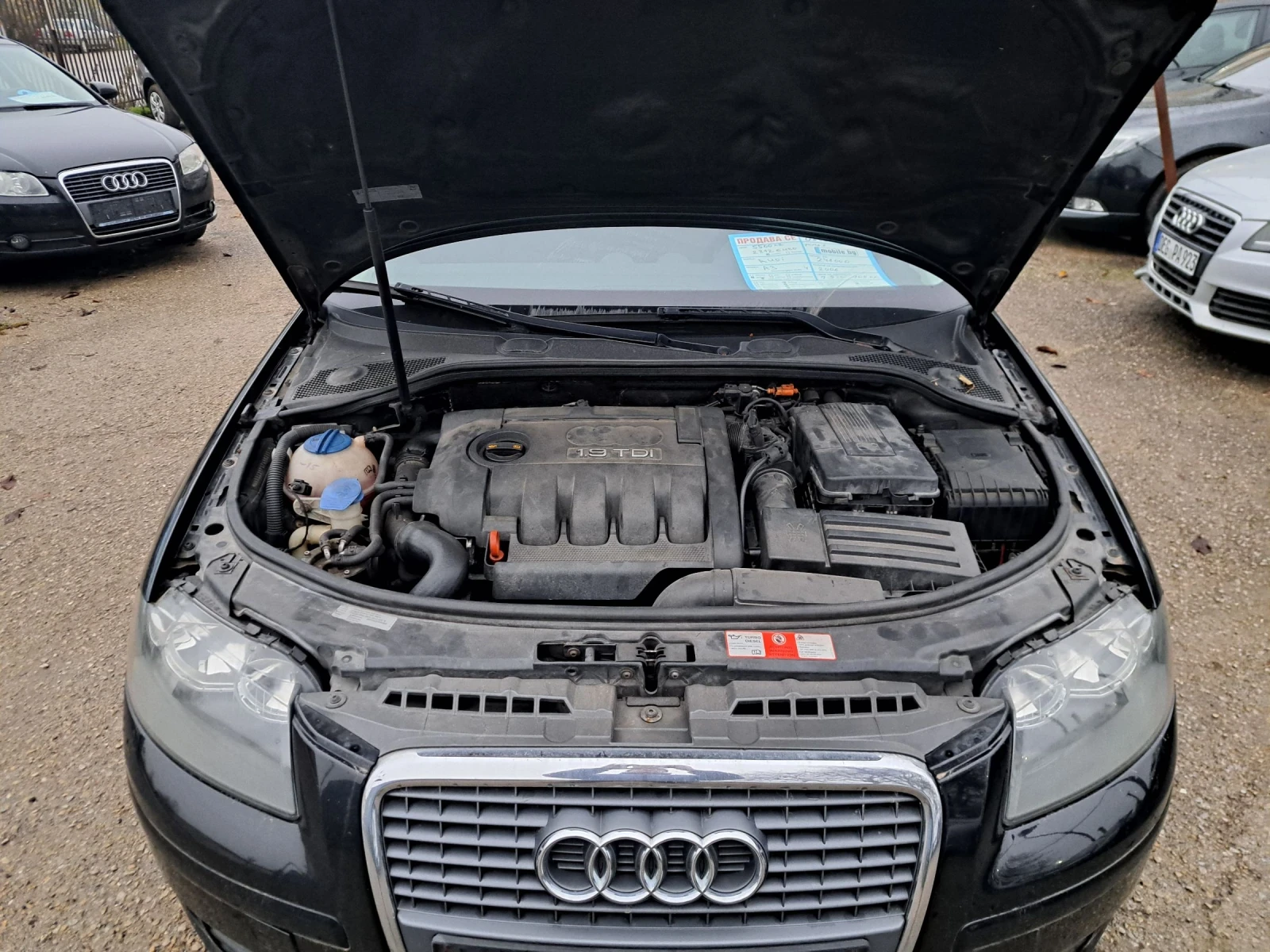 Audi A3 1, 9tdi 105kc | Mobile.bg   13