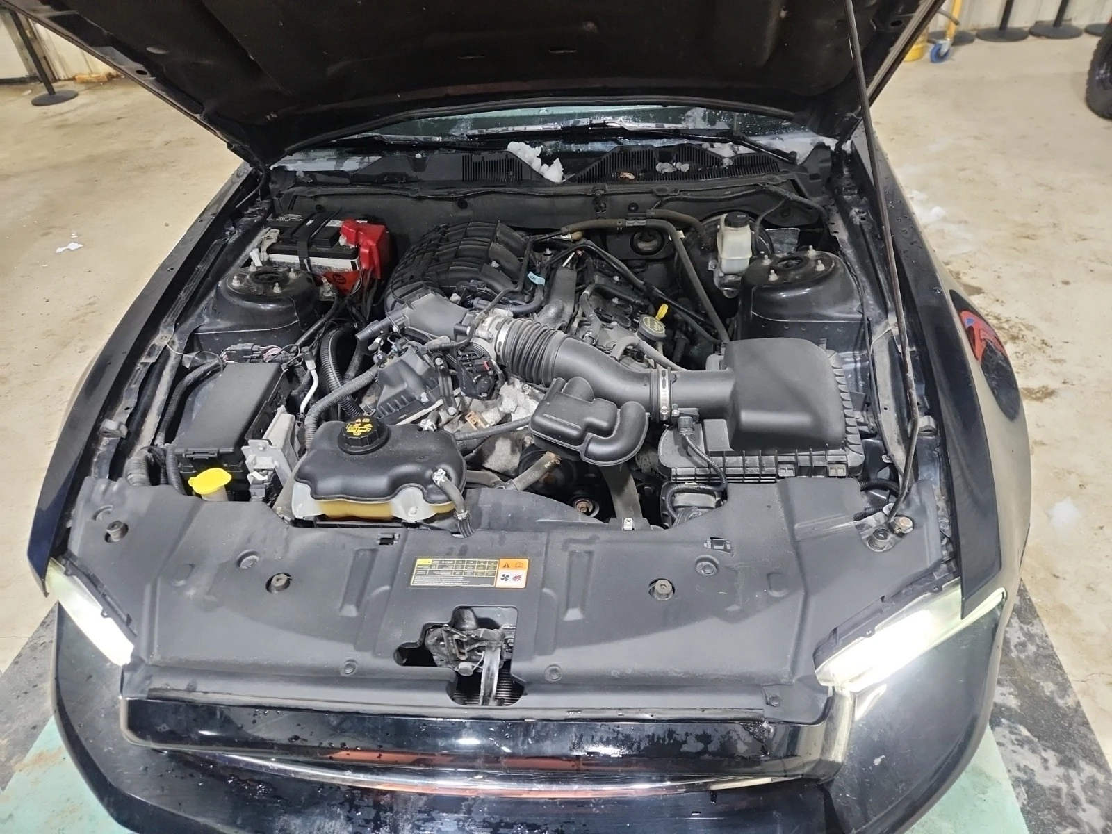 Ford Mustang 3.7 V6 * * ��������� * * ���� ���������� * *  | Mobile.bg � ����������� 11