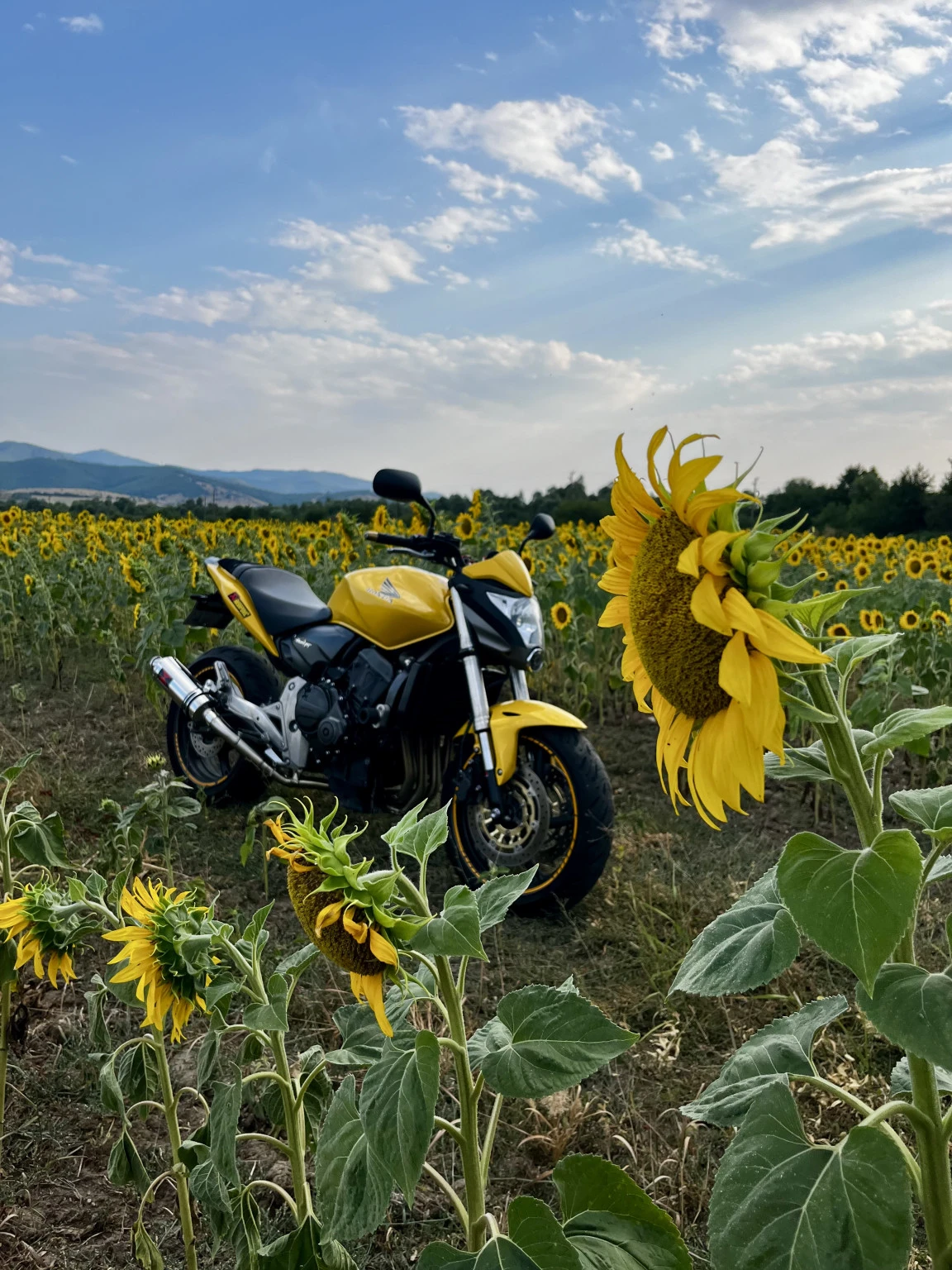 Honda Hornet PC41 CB600FA 600i, снимка 2 - Мотоциклети и мототехника - 54496582