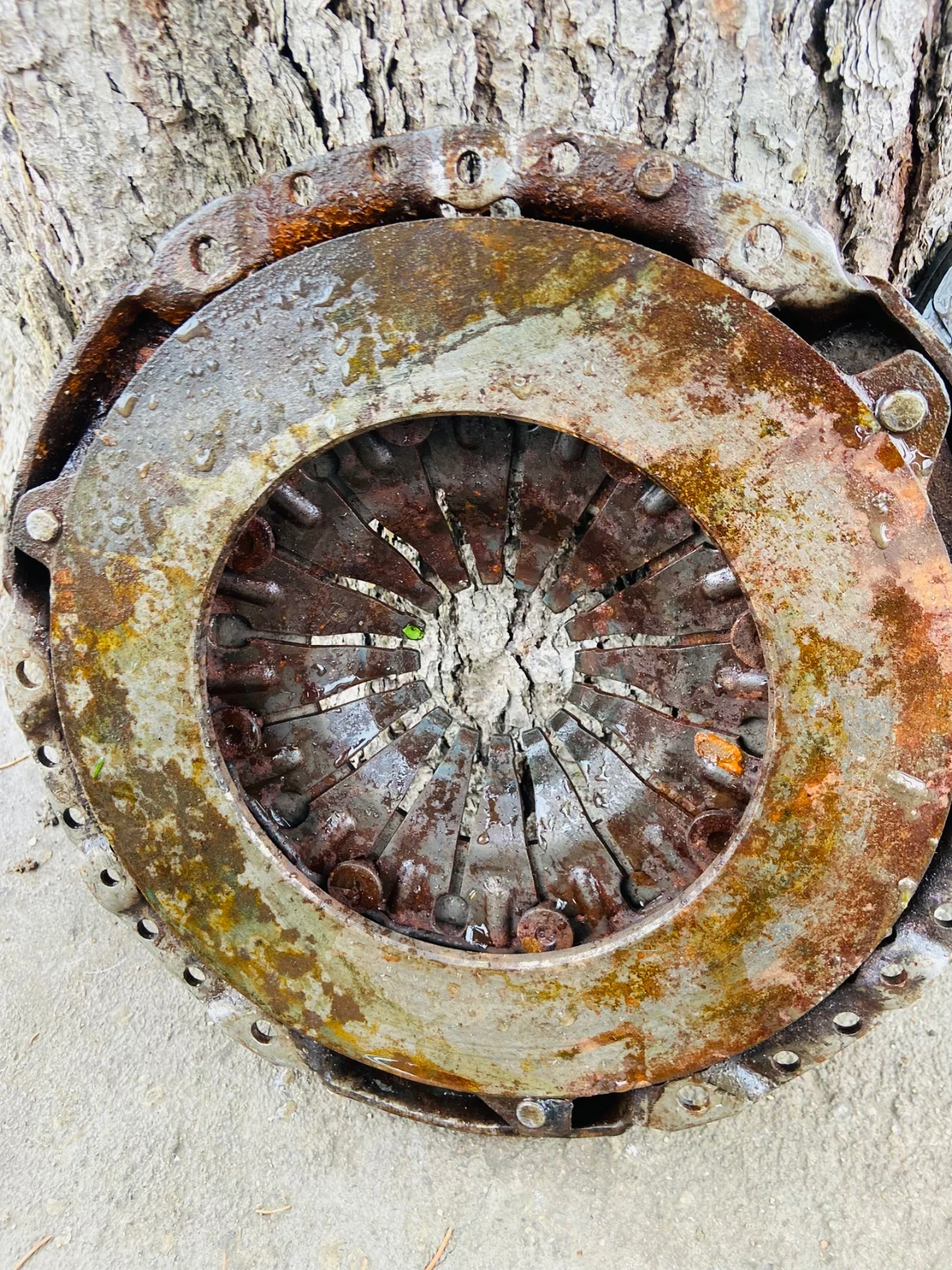 ������� ���� � ����������� | Mobile.bg � ����������� 2