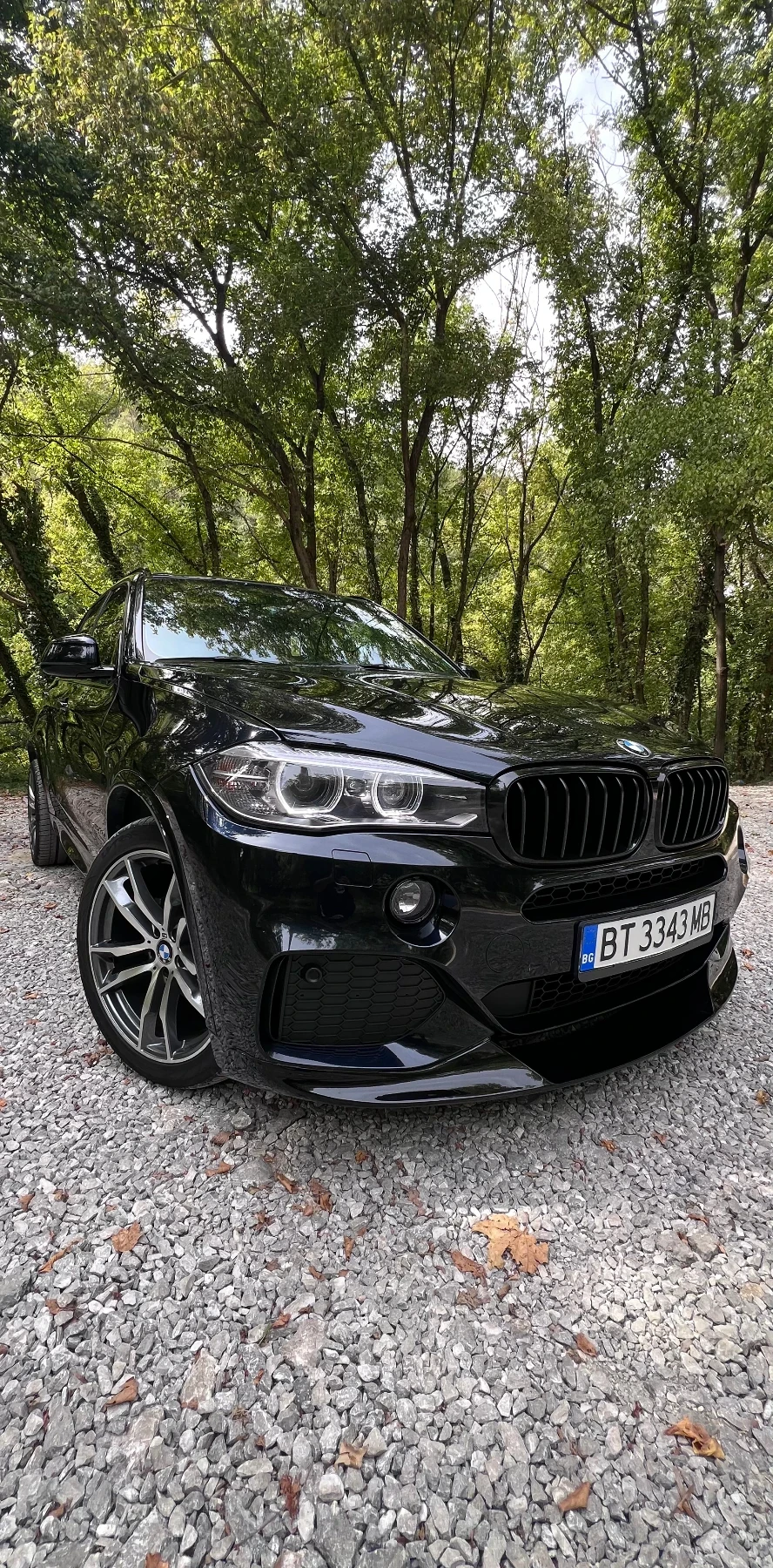 BMW X5 F15 3.0d - изображение 2