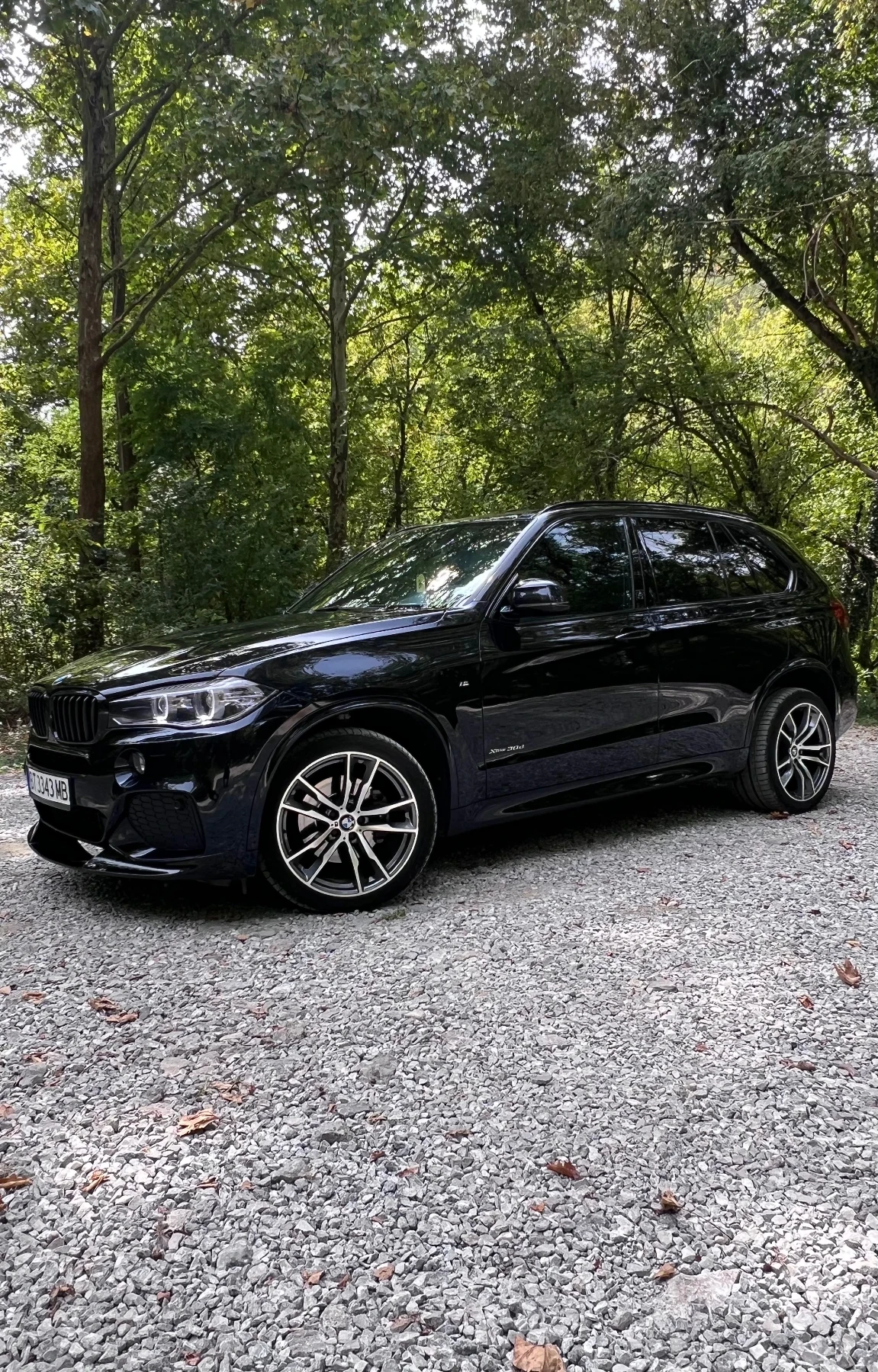 BMW X5 F15 3.0d - изображение 4