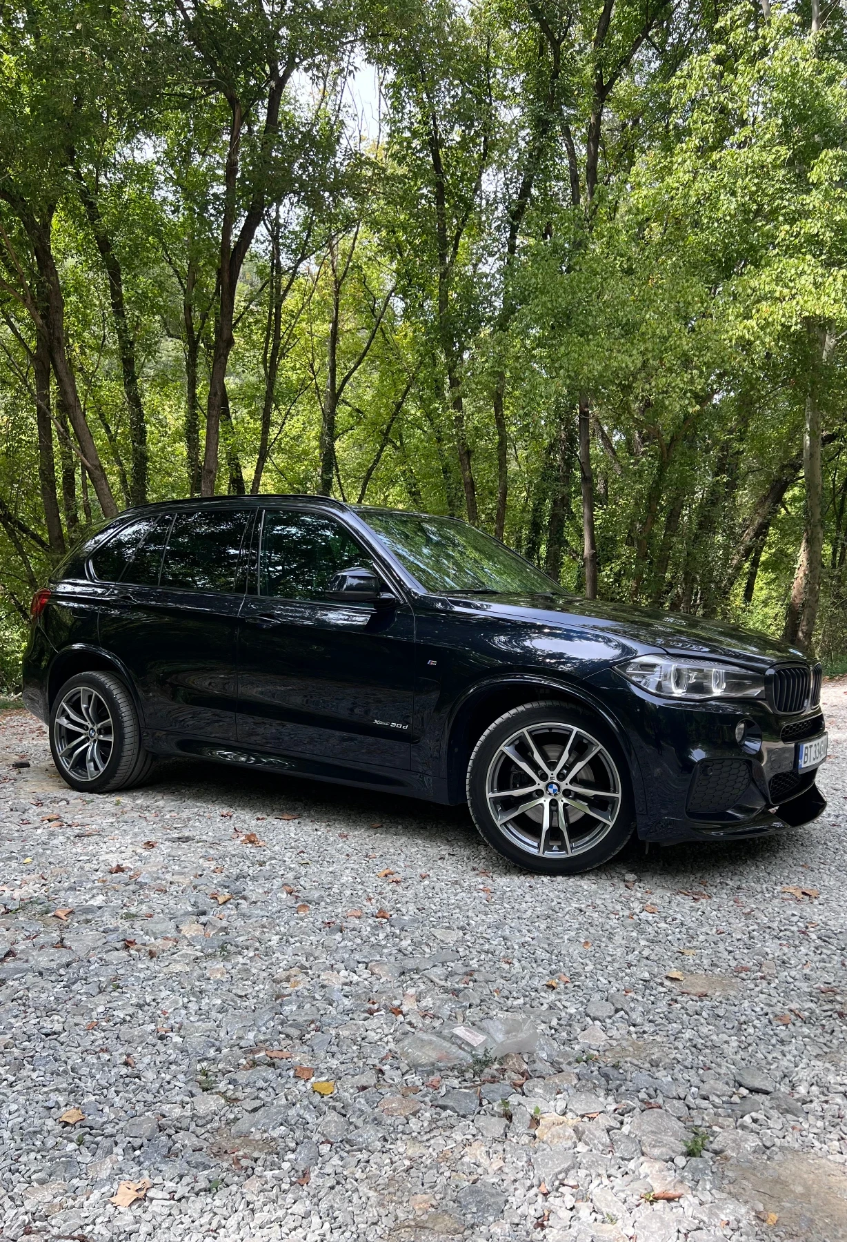 BMW X5 F15 3.0d - изображение 5
