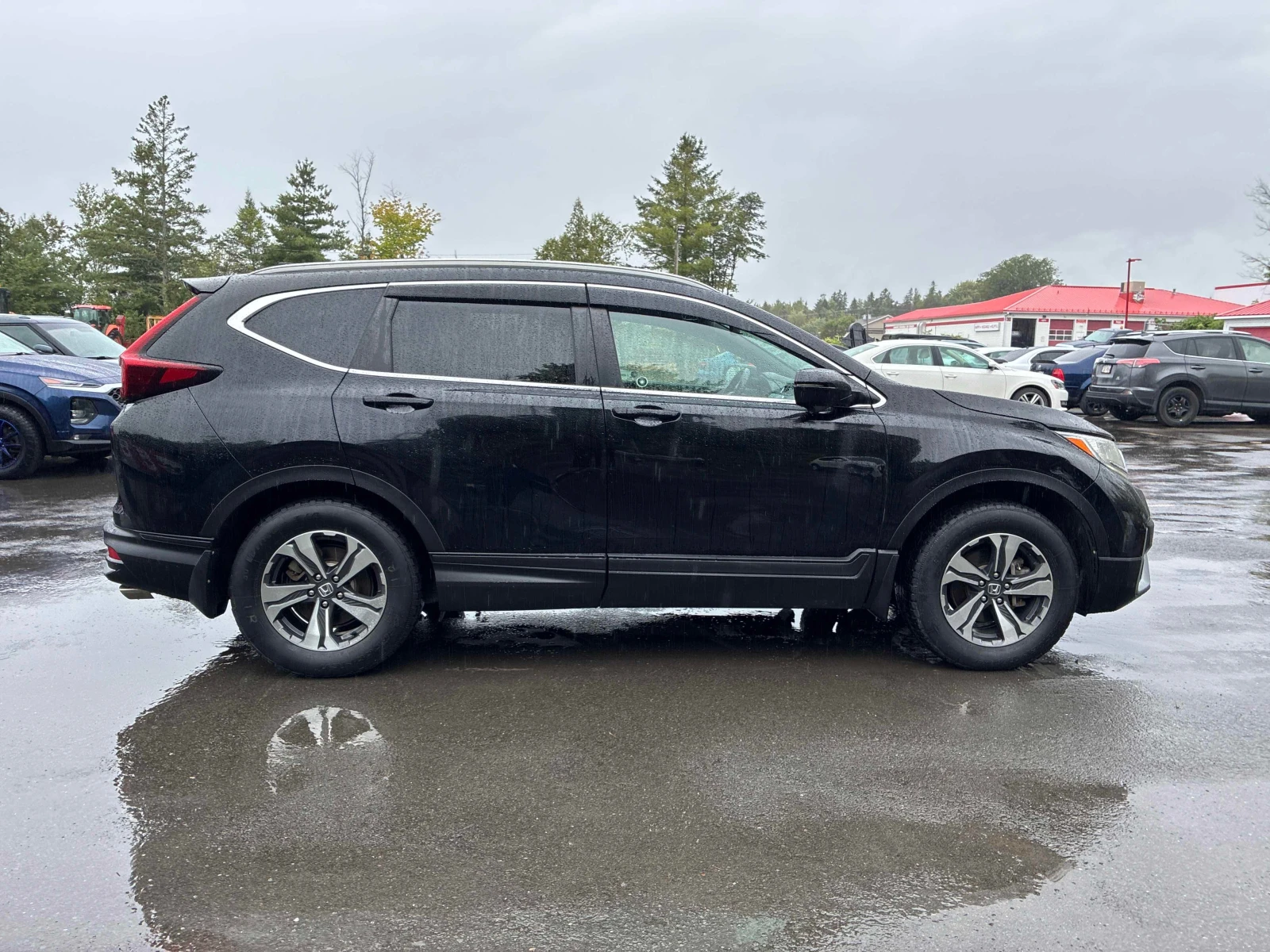 Honda Cr-v * Sport * CARFAX * АВТОКРЕДИТ* , снимка 3 - Автомобили и джипове - 55993779