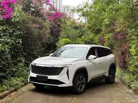 Geely Starray 1.5TD DCT Luxury