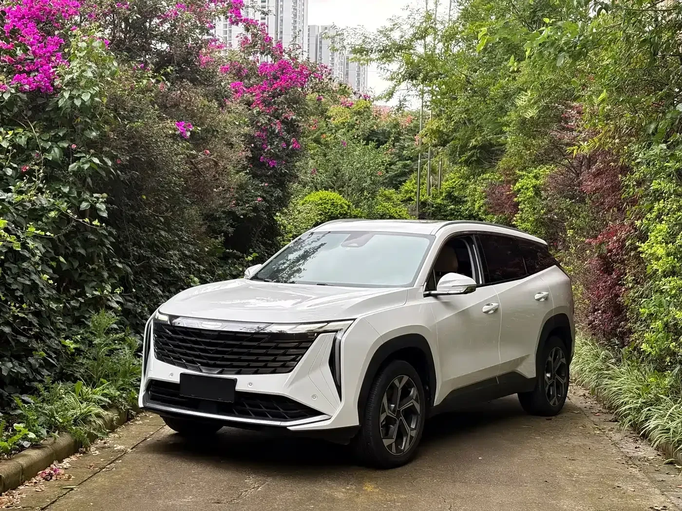 Geely Starray 1.5TD DCT Luxury