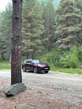 Toyota Rav4 Luxury, снимка 9