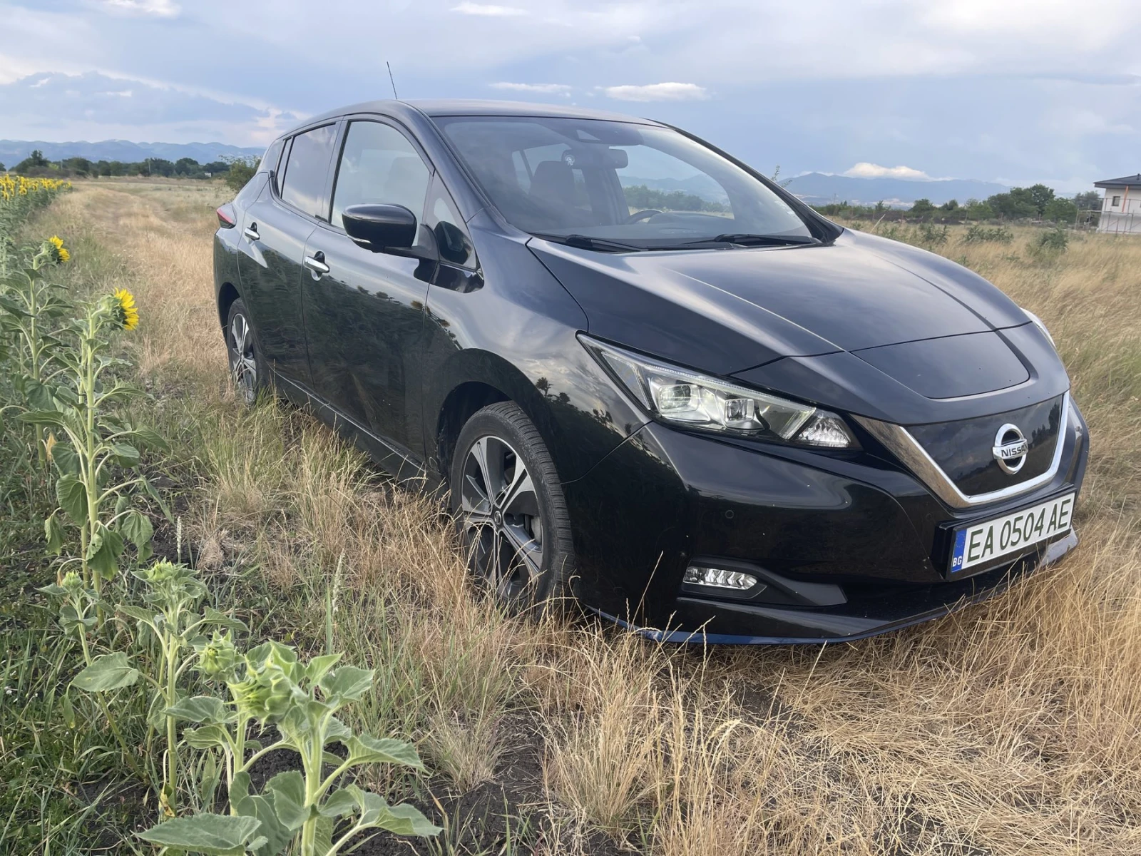 Nissan Leaf   - изображение 4