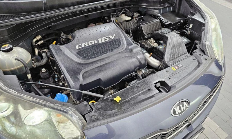 Kia Sportage Diesel 2wd Trendy  * НАЙ-ДОБРА ЦЕНА В БЪЛГАРИЯ* , снимка 6 - Автомобили и джипове - 52034835