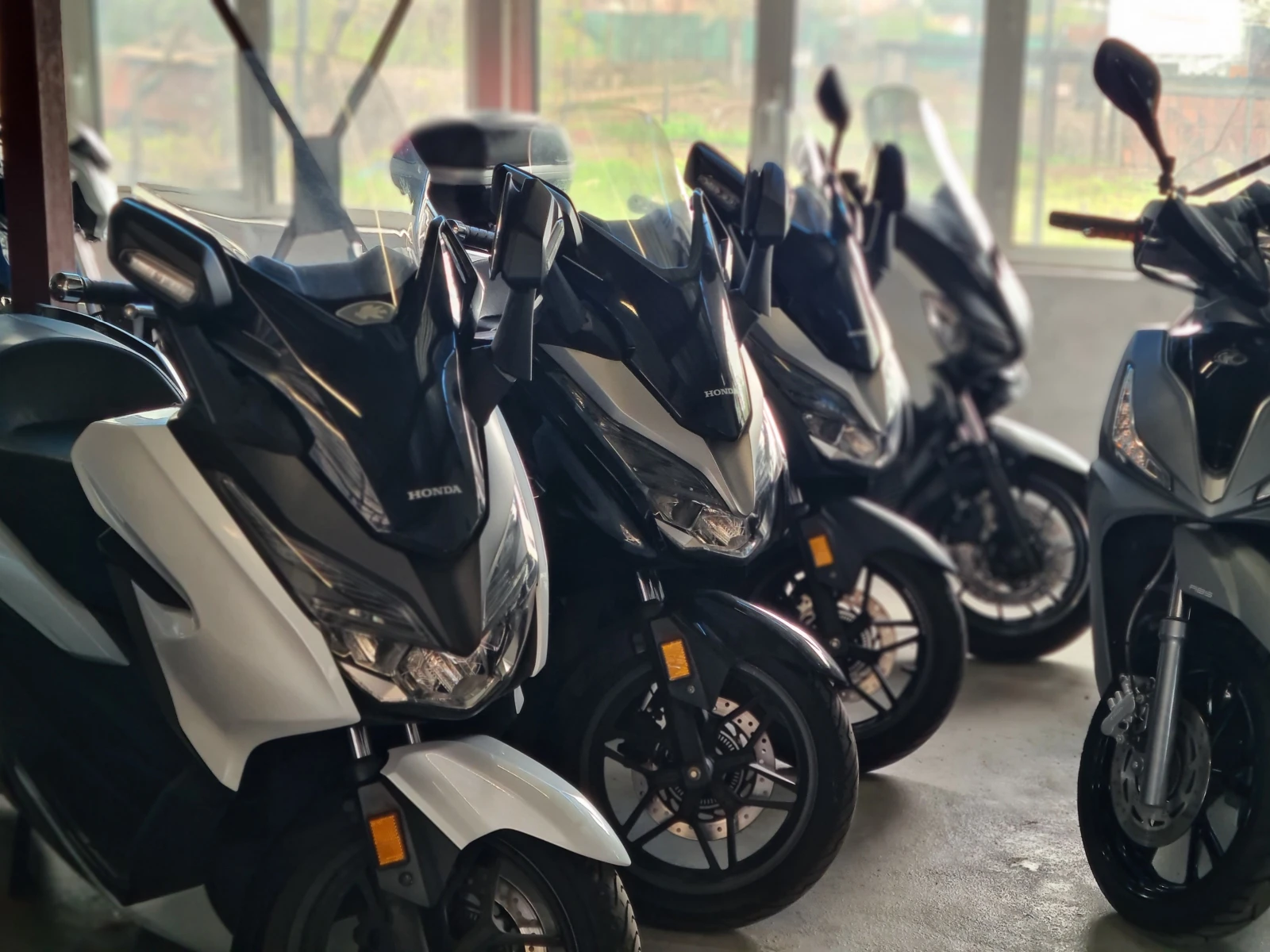 Aprilia Pegaso  - изображение 7