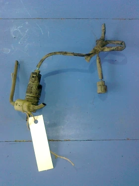 ����� �� �������� �� ����� �������� �� �������� ���� (1)