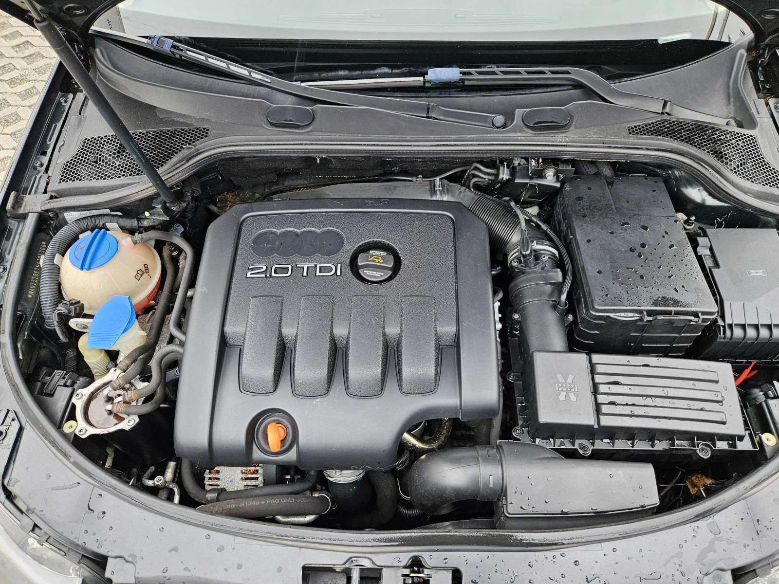 Audi A3 2.0TDI-140= 6= =  | Mobile.bg   17