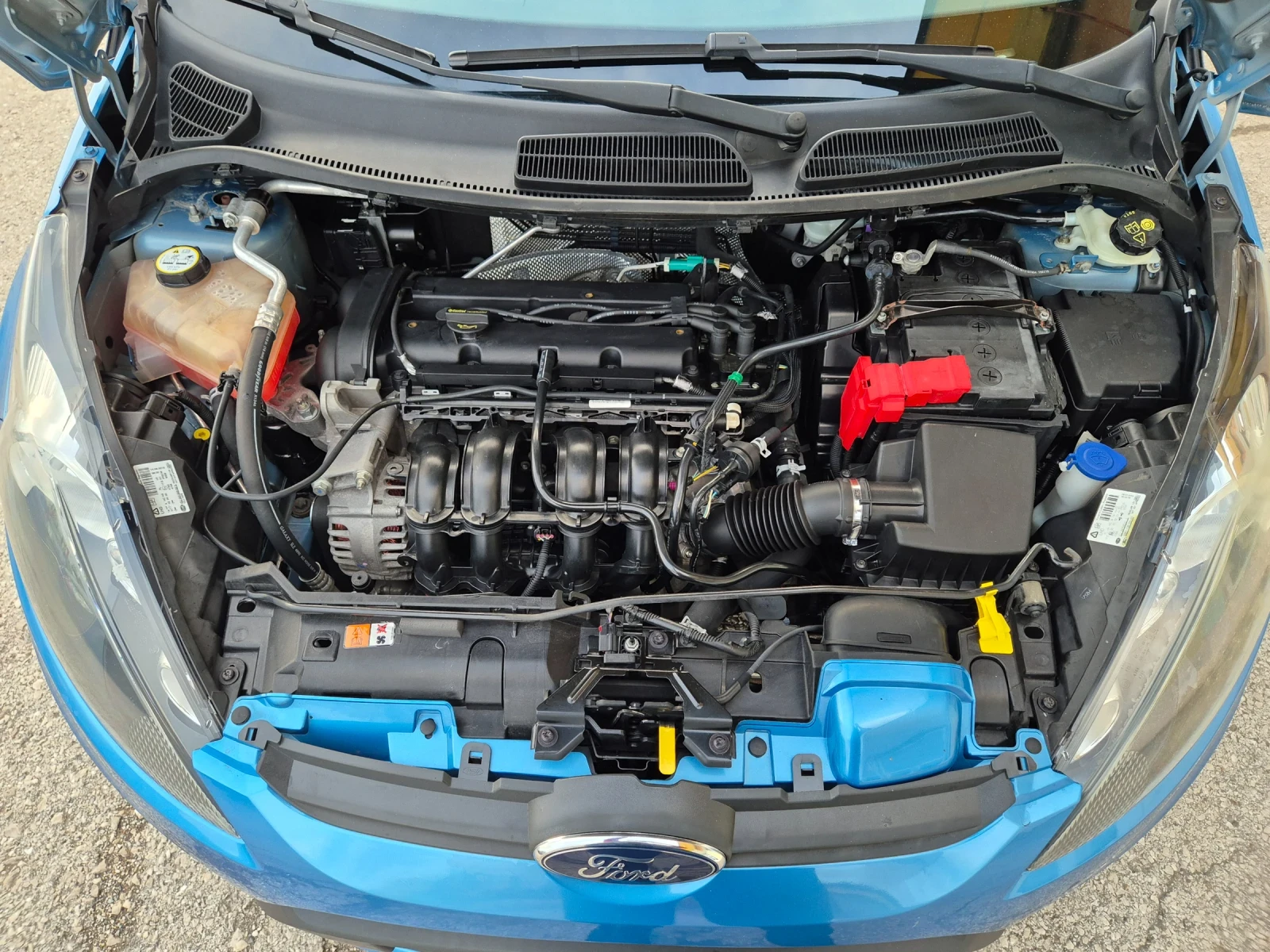 Ford Fiesta 1.3I ITALY TOP | Mobile.bg   17