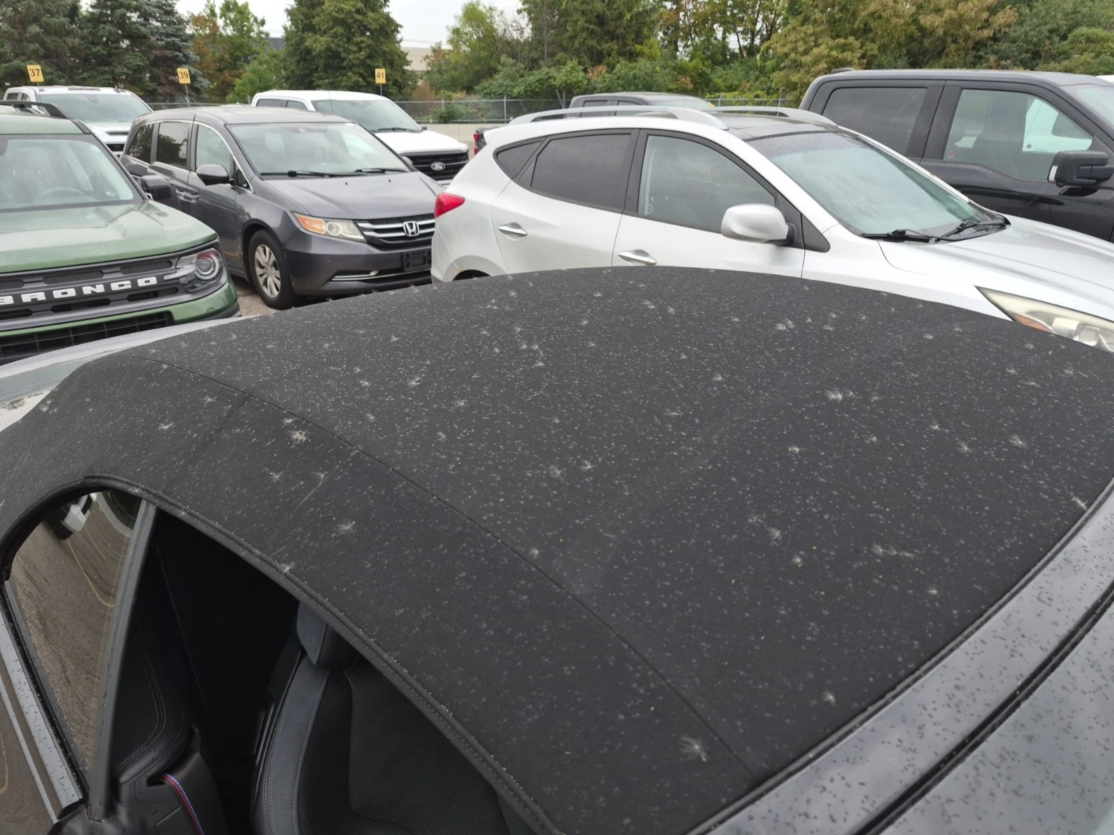 BMW M4 Cabriolet Competition M Xdrive | Mobile.bg � ����������� 6