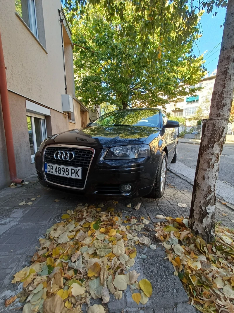 Audi A3 2.0T Quattro, снимка 6 - Автомобили и джипове - 52810592