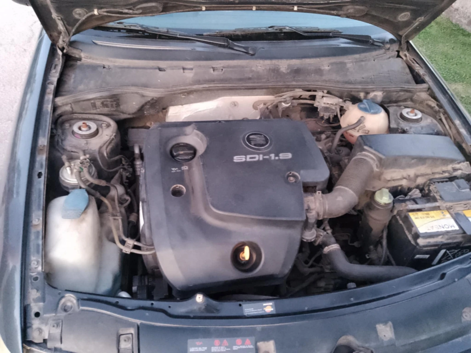 Seat Ibiza  - изображение 10