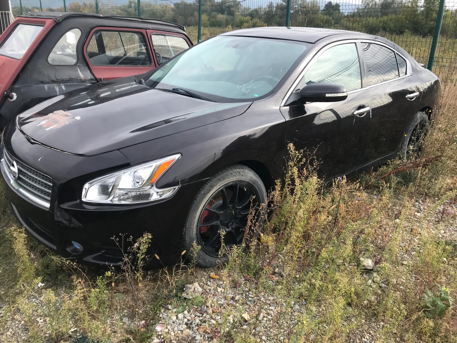 Nissan Maxima 3.5 v6 - изображение 2