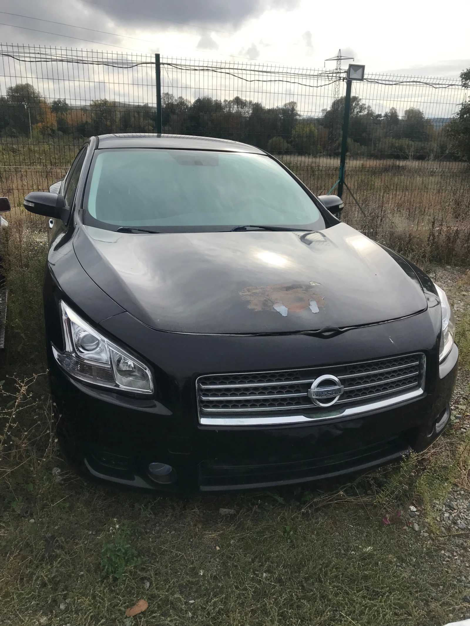 Nissan Maxima 3.5 v6 | Mobile.bg — изображение 1