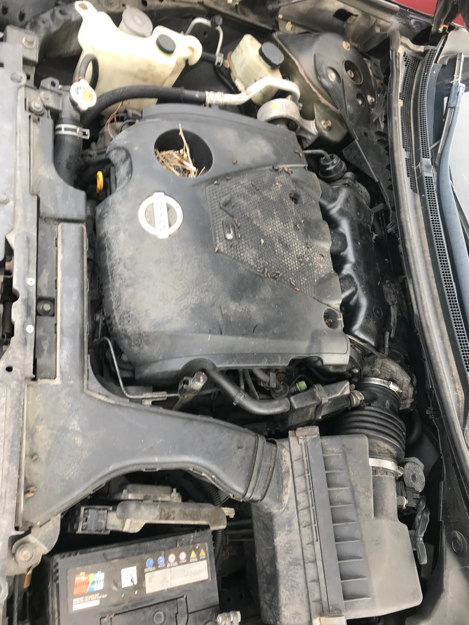 Nissan Maxima 3.5 v6 - изображение 5
