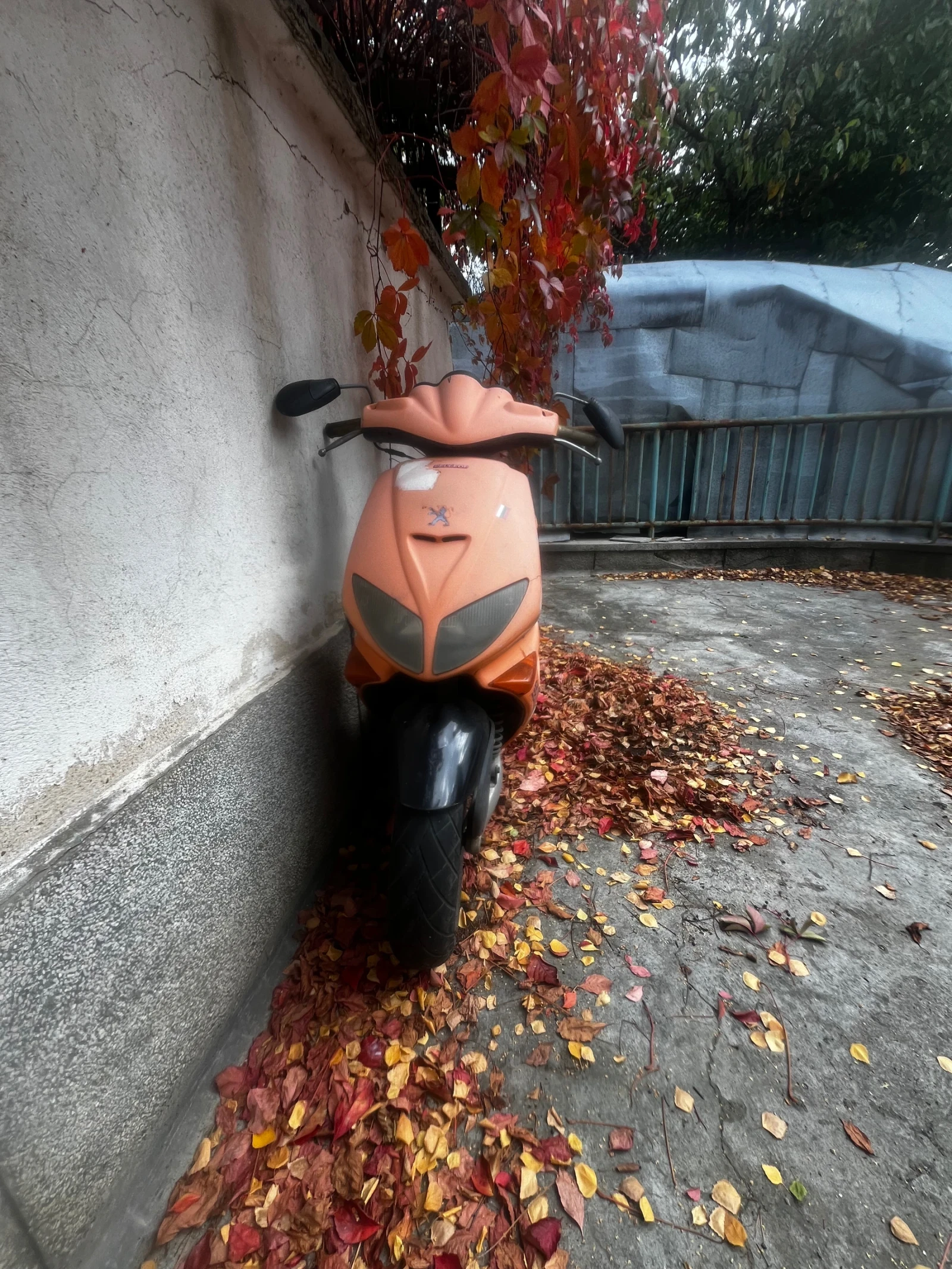 Peugeot Speedfight Продаден  - изображение 5