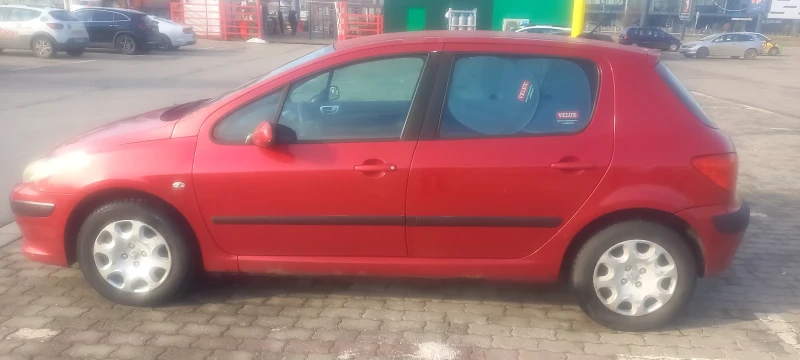 Peugeot 307 1.6, снимка 3 - Автомобили и джипове - 48571727