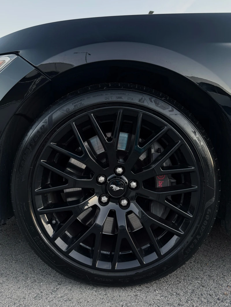 Ford Mustang Mustang GT Premium + Performance Package, снимка 9 - Автомобили и джипове - 53050035