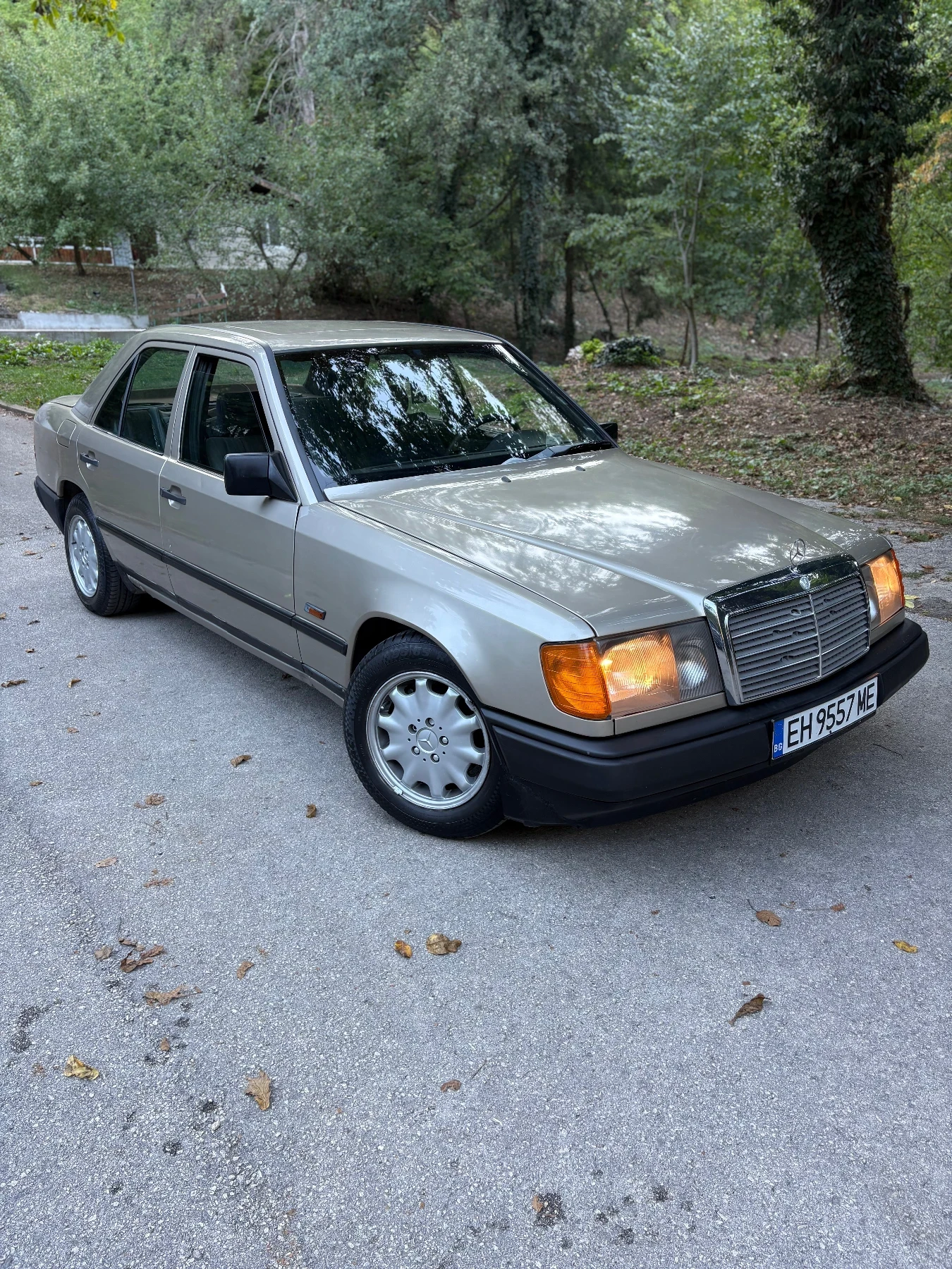 Mercedes-Benz 124 250D - изображение 9