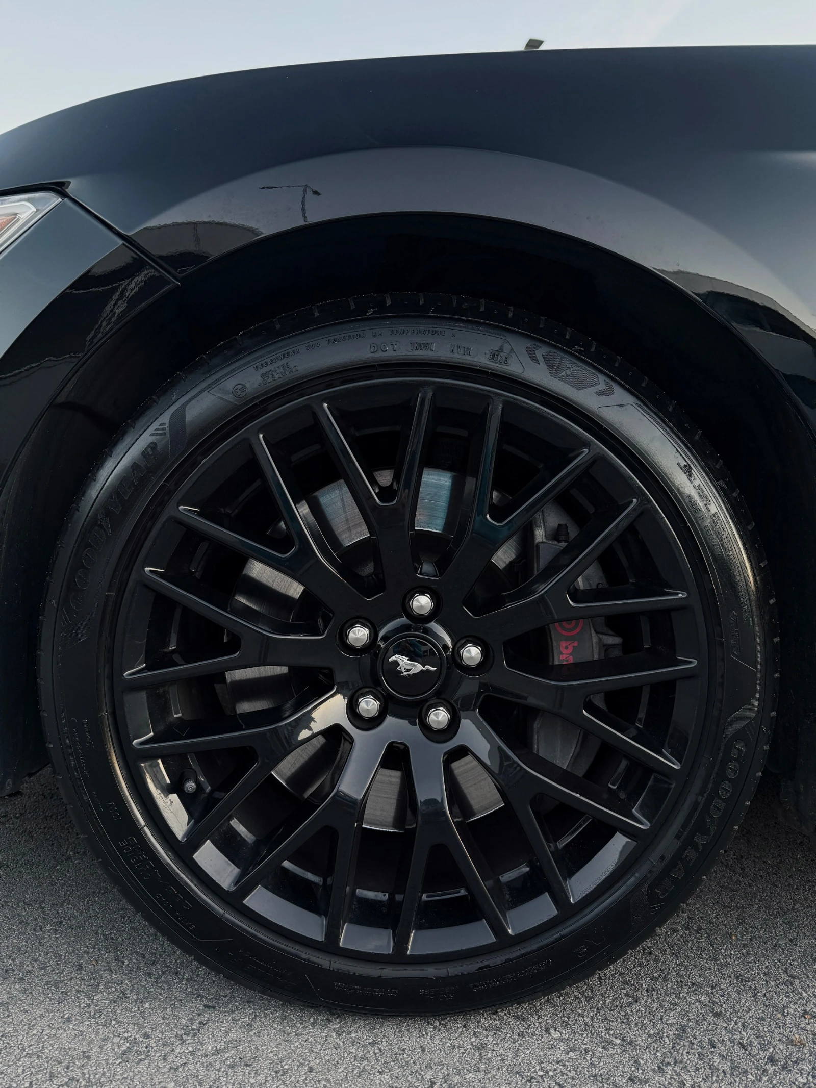 Ford Mustang Mustang GT Premium + Performance Package - изображение 9