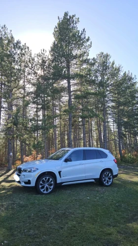 BMW X5 Plug-in Hybrid 40e 313кс, снимка 2