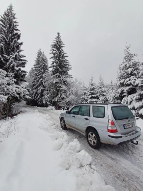 Subaru Forester 2.0 х - 3200 € / 6258.66 лв. - 40705460 17