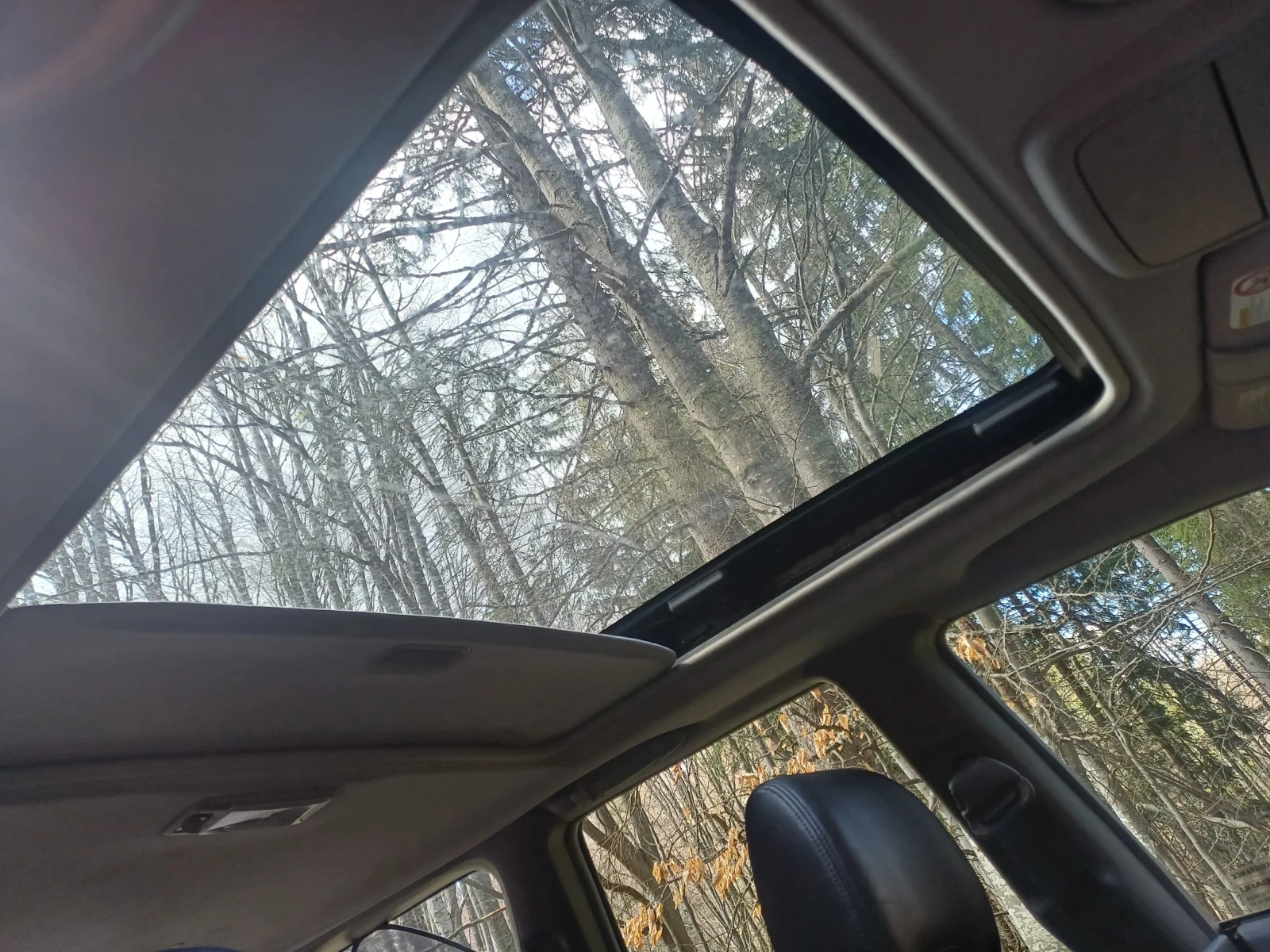 Subaru Forester 2.0 х - изображение 8