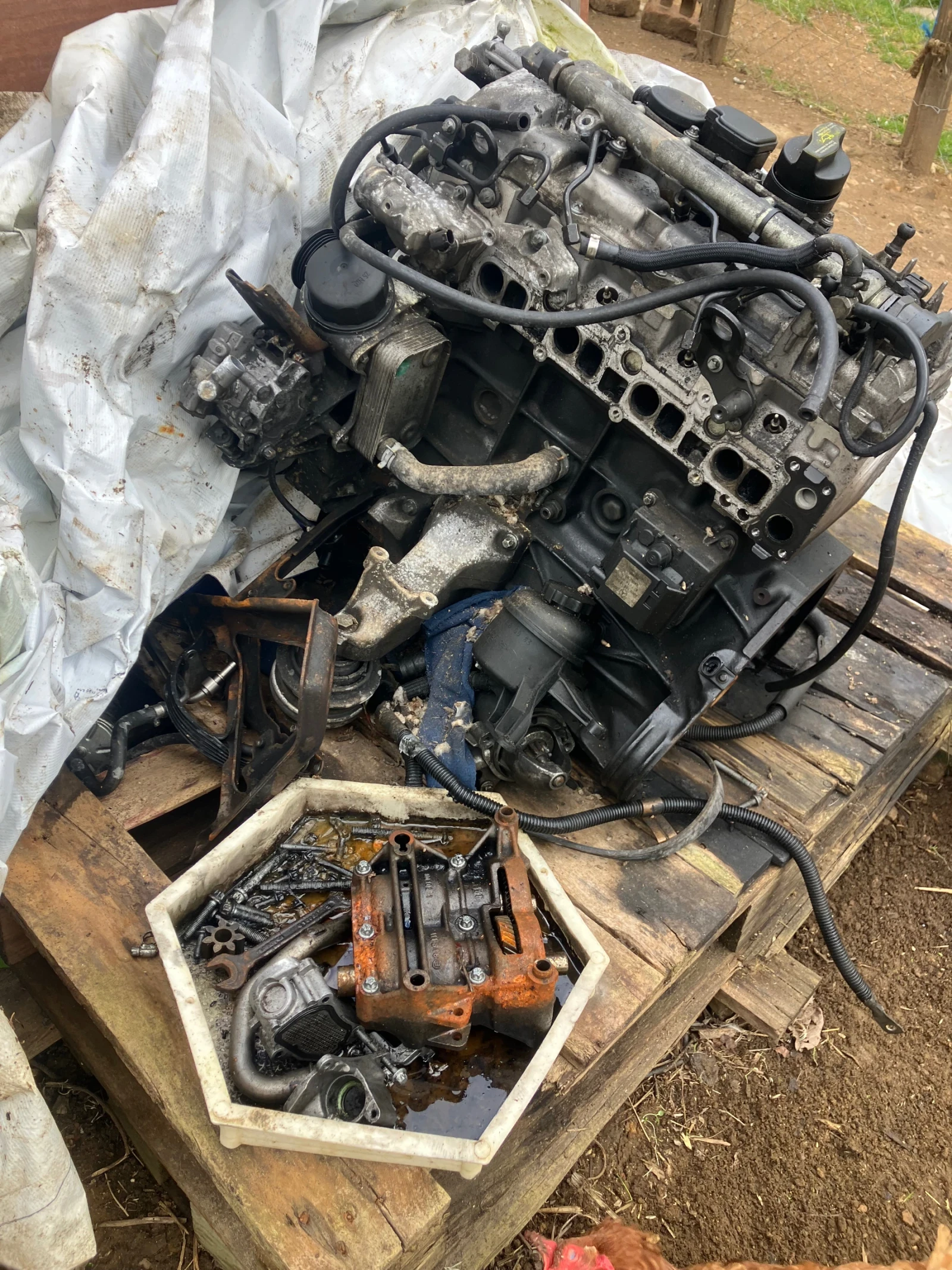 Mercedes-Benz E 220, снимка 14 - Автомобили и джипове - 54386788