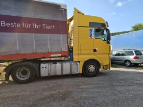 Man Tgx | Mobile.bg    5