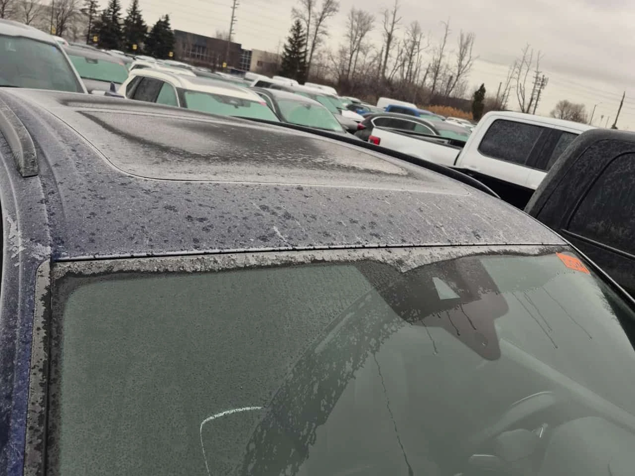 Audi Q7 * TECHNIK * ДИСТРОНИК* 2 КЛЮЧА* ПАНОРАМА* ОБДУХВАН, снимка 5 - Автомобили и джипове - 54060288